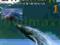 DZIKI ŚWIAT ZWIERZĄT 01: WIELORYB - GIGANT OCEANÓW