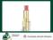 L`OREAL ROUGE CARESSE LIPSTICK POMADKA DO UST 301