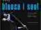 Ikony bluesa i soulu