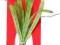 AZZO SAGITTARIA L (20cm) - Roślina sztuczna