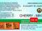 CHERRY-MINT 18mg/ml poj. 100ml DUETY INAWERA LIQ