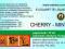 CHERRY-MINT 18mg/ml poj. 10ml DUETY INAWERA LIQUID