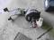 SERWO POMPA HAMULCOWA 251612101B VW TRANSPORTER T3