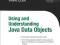 Using and Understanding Java Data Objects