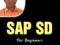 SAP SD for Beginners, 2nd Edition