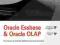 Oracle Essbase Oracle OLAP The Guide to Oracle's