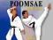 Complete Taekwondo Poomsae The Official Taegeuk, P