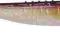 Guma Dragon V-Lures CHUCKY 10,0cm 01-600