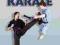 Mastering Karate (Mastering Martial Arts Series)