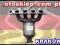 NOWY KATALIZATOR OPEL ASTRA G,VECTRA C 1.8 F-VAT