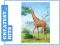 CASTOR 24 MINI ŻYRAFA A-02405-Z (PUZZLE)