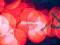 MIKROMUSIC - MIKROMUSIC W ETERZE  /CD+DVD/ SZYBKO^