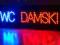 LED REKLAMA WEWNĘTRZNA WC DAMSKI 50x15 cm