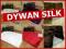 DYWAN DYWANY SHAGGY SILK JEDWAB WISKOZA 120x170