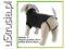 TRIXIE UBRANKO SWETER KING OF DOGS 45/48 M 28504