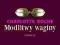 MODLITWY WAGINY - CHARLOTTE ROSCHE - NOWA