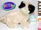 markowa maskotka PIESEK - WEBKINZ 20cm wz.12