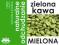 ZIELONA KAWA MIELONA 250G GREEN COFFEE SLIM DETOX