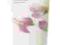 Bath Body SHEER FREESIA  Balsam kremowy FREZJA USA