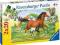 2X20 EL. Świat Koni Ravensburger [Poznan]