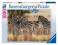RAVENSBURGER PUZZLE 1000 ZEBRY 19113   W-wa