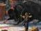 Thorgal Vol.14 Giants (Thorgal (Cinebook))