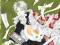 Natsume's Book of Friends Vol 1