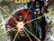Captain America and Bucky The Life Story of Bucky