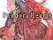 Pandora Hearts, Vol. 15