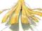 Bleach 36