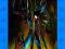 Ultimate Spider-Man Volume 10 Hollywood TPB (New P