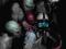 The Strain Volume 1
