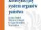 Konstytucyjny system organów państwa - Dudek