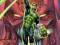 Green Lantern Rage Of The Red Lanterns HC