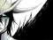 Bleach 40