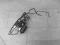 POMPA ABS VW TOURAN GOLF V AUDI A3 1K0907379AC #