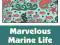 Marvelous Marine Life Coloring Book Double Pack (V