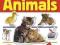 Baby Animals (DK Sticker Encyclopedias)