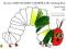 My Own Very Hungry Caterpillar Colouring Book (The