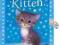 My Secret Kitten (Holly Webb Animal Stories)