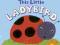 This Little Ladybird Ladybird Touch and Feel (Touc