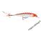 wobler RAPALA X-RAP xr-10 1,2-1,8m 10cm 13g