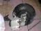 VW GOLF 5 PLUS  SERWO HAMULCOWE