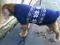 DOGGY FASHION sweterek w norweskim stylu ROZM.L