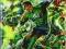 Green Lantern War Of The Green Lanterns HC (Green