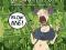 iLL WiLL PrEss Underground Comic Collection