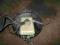 BMW E36 SERWO SERVO