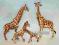 ŻYRAFA rodzina figurka 4 sztuki 18cm zw135 EduCORE