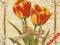 Serwetki do decoupage NR119 - 2szt. tulipany