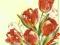 Serwetki do decoupage NR120 - 2szt. tulipany